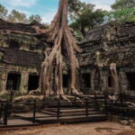 Private Angkor Wat Day Tour with Pre Rup Temple Sunset - Practicalities and Value