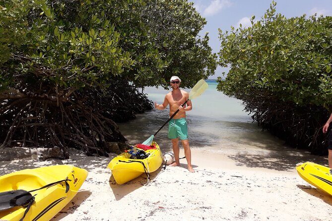 Private Aruba Kayak & Snorkeling Tour + Transortation - What’s Included and What to Expect