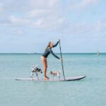 Private Aruba Stand Up Paddleboard Experience - Frequently Asked Questions
