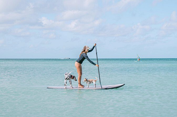 Private Aruba Stand Up Paddleboard Experience - Frequently Asked Questions