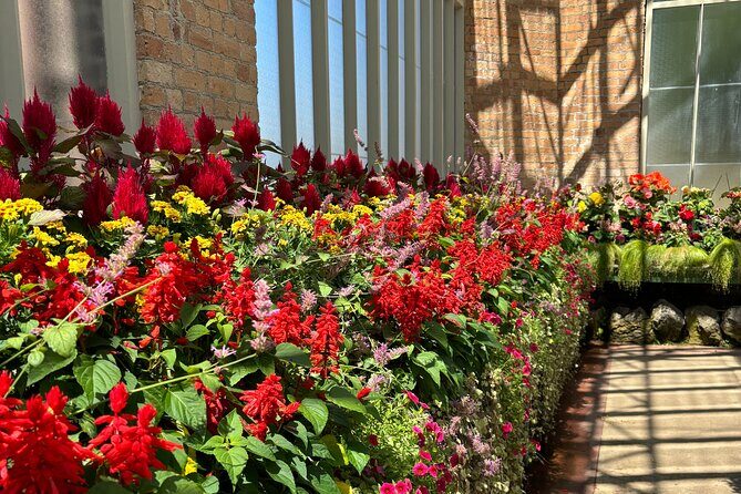 Private Auckland Best Top 5 Spots Half day Tour - The Practical Side: What You Need to Know