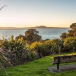 Private Auckland City Highlights Tour - Why This Tour Offers Great Value