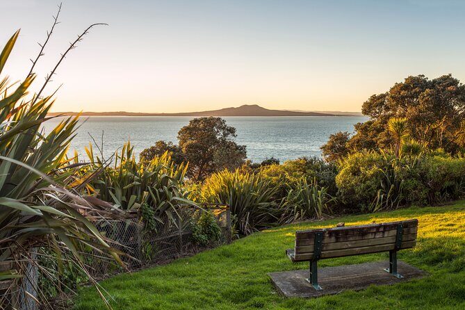 Private Auckland City Highlights Tour - Why This Tour Offers Great Value