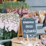 Private Auckland Tour - Who Is This Tour Best For?