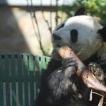 Private Badaling Great Wall Night Tour with English Driver - In-Depth Look at the Itinerary