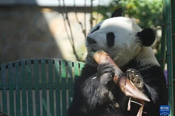 Private Badaling Great Wall Night Tour with English Driver - In-Depth Look at the Itinerary