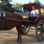 Private Bagan day tour by car with horse cart - Who’s It Best For?
