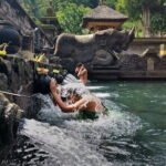 Private Bali Airport Transfer in Ubud Area - Who Should Book This Transfer?