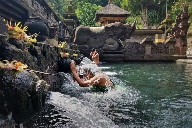 Private Bali Airport Transfer in Ubud Area - Who Should Book This Transfer?