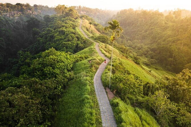 Private Bali Airport Transfer in Ubud Area - Behind the Scenes: What Travelers Say