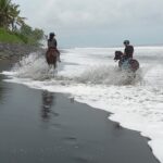 Private Bali Horse ride - What Makes This Experience Stand Out?