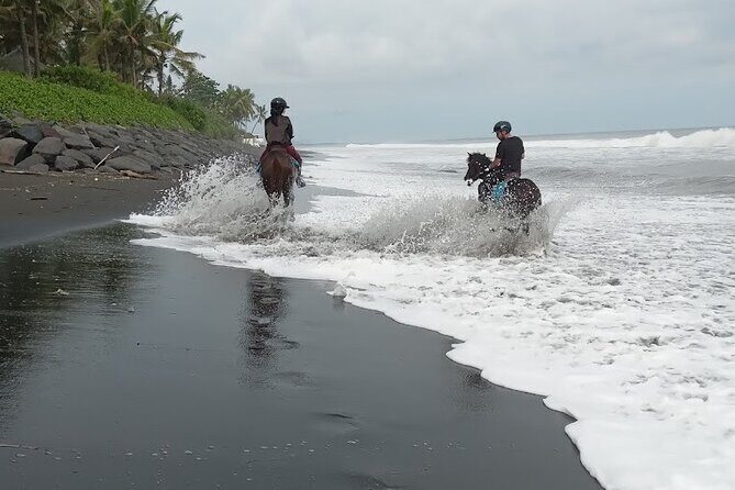 Private Bali Horse ride - What Makes This Experience Stand Out?