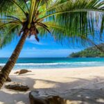 Private Barbados Airport Transfer to Oistins Hotels - Why This Transfer Works Well