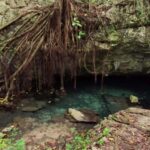 Private: Bayahibe: Jungle Walk and Cenote Snorkeling Tour - Deep Dive into the Itinerary and Experience