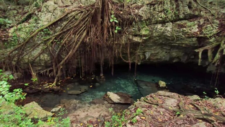 Private: Bayahibe: Jungle Walk and Cenote Snorkeling Tour - Deep Dive into the Itinerary and Experience