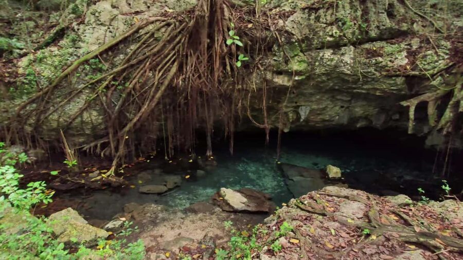 Private: Bayahibe: Jungle Walk and Cenote Snorkeling Tour - Deep Dive into the Itinerary and Experience
