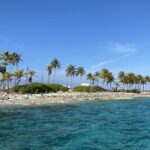 Private Beach Day Snorkeling and Swimming with Pig in Rose Island - What We Love About This Tour