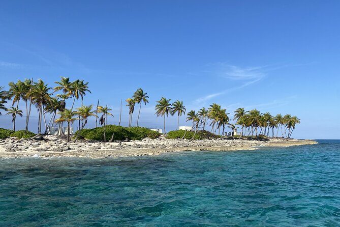 Private Beach Day Snorkeling and Swimming with Pig in Rose Island - What We Love About This Tour