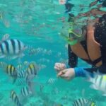 Private: Beginner Scuba Dive in Bávaro: 30-Minute Reef Dive - The Practicalities: Transport, Timing, and Value