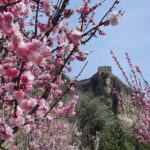 Private Beijing English Driver With 3 Section Great Walls - What Makes This Tour Stand Out?