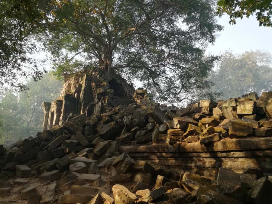 Private Beng Mealea Tour The Lost Jungle Temple Experience - What Makes This Tour Stand Out?