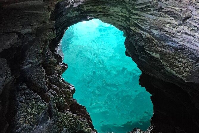 Private Bermuda Historic Sightseeing Cruise With Swim Stops - Who Should Book This Tour?