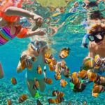 Private Blue Lagoon Snorkeling Lunch All Inclusive - Why This Tour Offers Great Value