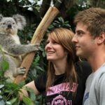 Private BlueMountains, ScenicWorld & AustralianWildlife Tour - Price & Value Analysis
