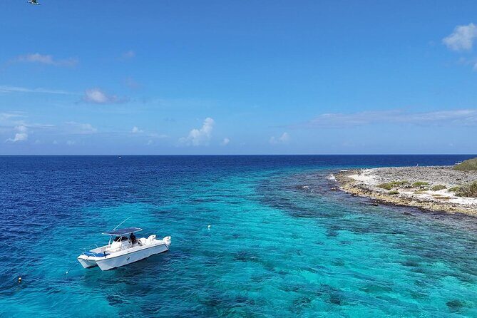 Private Boat Rental in Bonaire with Captain Marine Park Cruise - Authentic Customer Insights