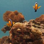 Private Boat Route B by Long Tail Boat - Practical Details