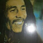 Private Bob Marley 9 Mile& Dunns River Adventures Fr. Montego Bay - Transport, Duration, and Overall Value