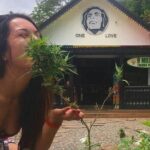 Private Bob Marley's Resting place, Dunn's River and shopping - Practical Details and What They Mean for You