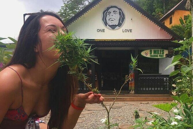 Private Bob Marley's Resting place, Dunn's River and shopping - Practical Details and What They Mean for You