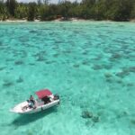 Private Bora Bora Lagoon Experience - Authentic Insights from Reviewers
