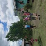 Private Breathtaking Koroyanitu Half Day Waterfall Hike - Who Will Love This Tour?