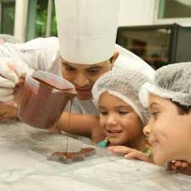 Private: Cacao Plantation Tour with Lunch & Tasting - The Itinerary: What to Expect on Your Cacao Journey