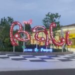 Private Car or Minibus Rental With Driver - What to Expect During Your Day