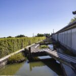 Private Car Tour from Shimizu Port to Visit Kakegawa Tea Culture - Practicalities and Value