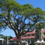 Private Castries or Shopping Tour/Transfers - Who Should Book This Experience?