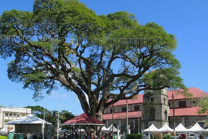 Private Castries or Shopping Tour/Transfers - Who Should Book This Experience?