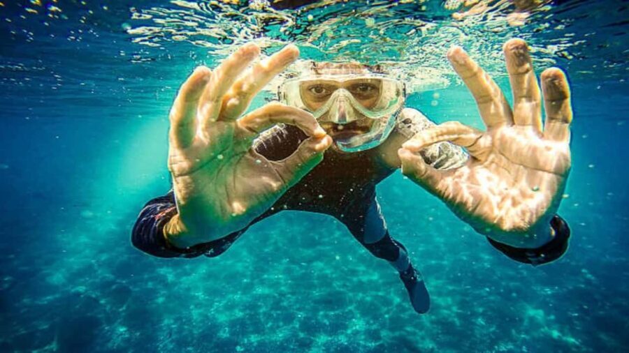 Private: Catalina Island Diving Tour with Lunch - An In-Depth Look at the Catalina Island Diving Tour