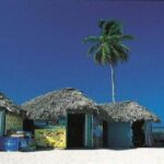 Private: Catalina Island Snorkeling & BBQ Boat Tour - What Makes This Tour Stand Out