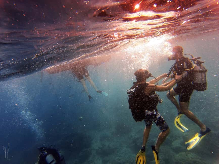 Private: Catamaran Adventure & Beach BBQ at Catalina Island - Practical Details and Tips