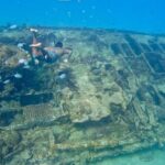 Private catamaran sail & snorkel - An In-Depth Look at the Private Catamaran & Snorkel Experience