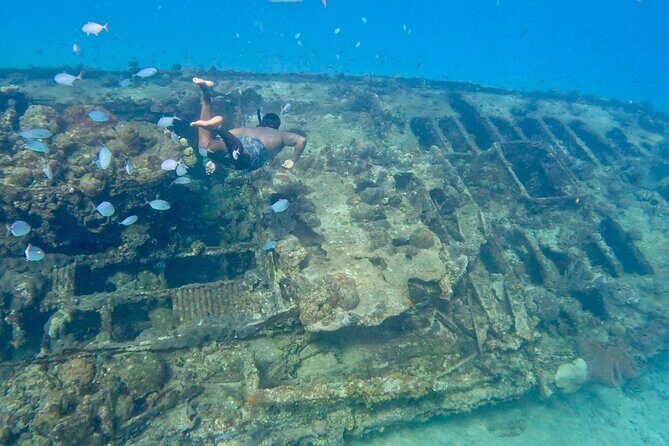 Private catamaran sail & snorkel - An In-Depth Look at the Private Catamaran & Snorkel Experience