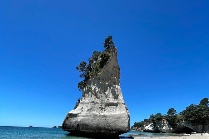 [PRIVATE] Cathedral Cove and Hot Water Beach - Frequently Asked Questions