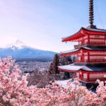 Private charter car one day trip for Mt fuji - In-Depth Look at the Itinerary