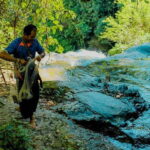 Private Chiang Mai Nature Hiking Visiting Karen Tribe Village - Who Will Benefit Most?