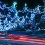 Private Christmas Walking Tour in Singapore with Orchard Lights - Practical Details and Insights