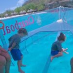 Private Clearboat Tour with Snorkeling in Curacao - The Experience in Depth: What to Expect